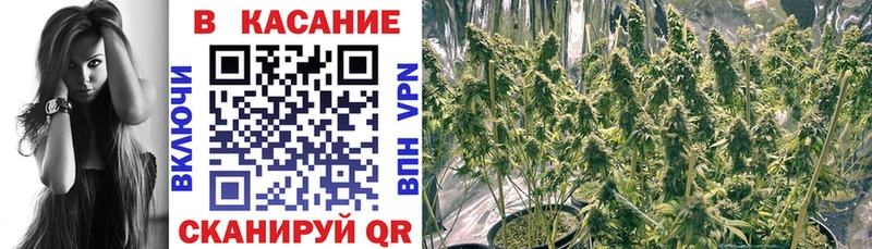 Наркота Тамбов Альфа ПВП МЕФ Конопля Cocaine