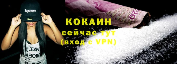 крисы Абаза