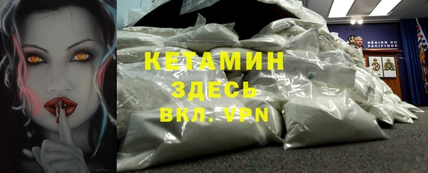 крисы Абаза