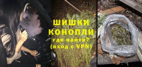 крисы Абаза