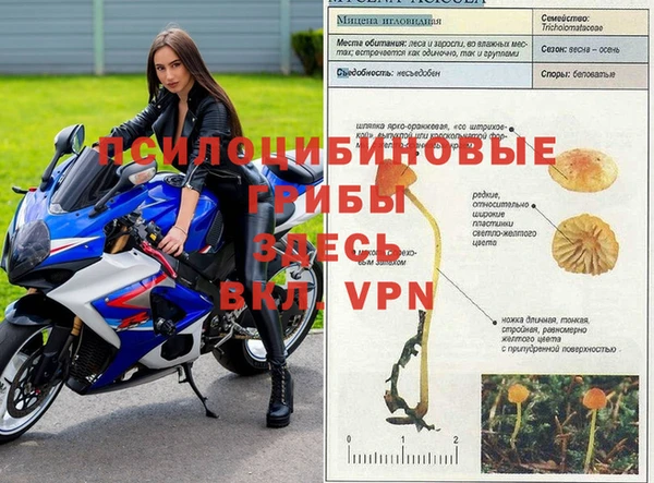 кокаин премиум Абинск